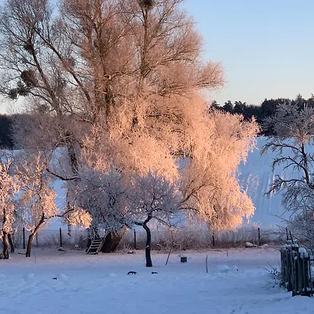 Atelierhaus Alte Schule Ferienhaus
